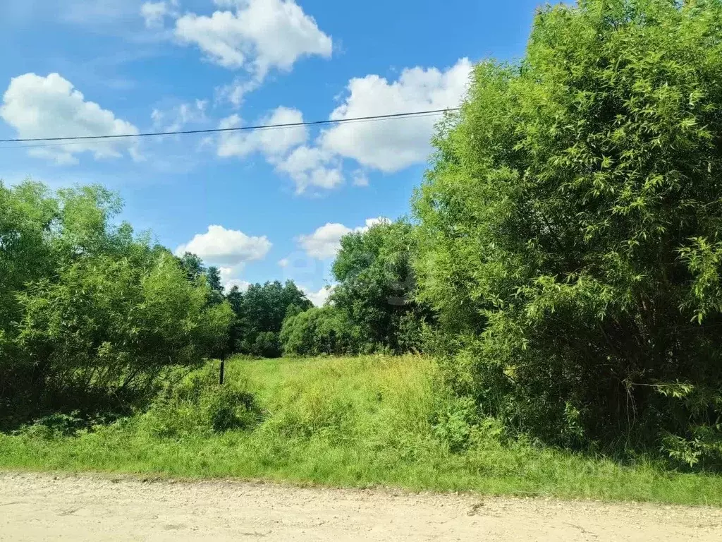 Участок в Владимирская область, Покров городской округ, д. Головино ... - Фото 2