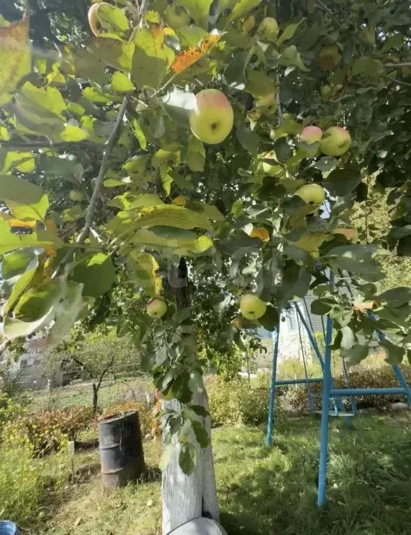 Дом в Брянская область, Брянский район, Новодарковичское с/пос, пос. ... - Фото 1