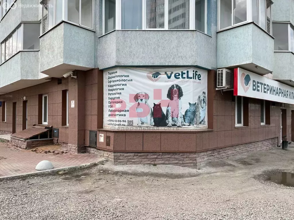 Помещение свободного назначения (50 м) - Фото 0