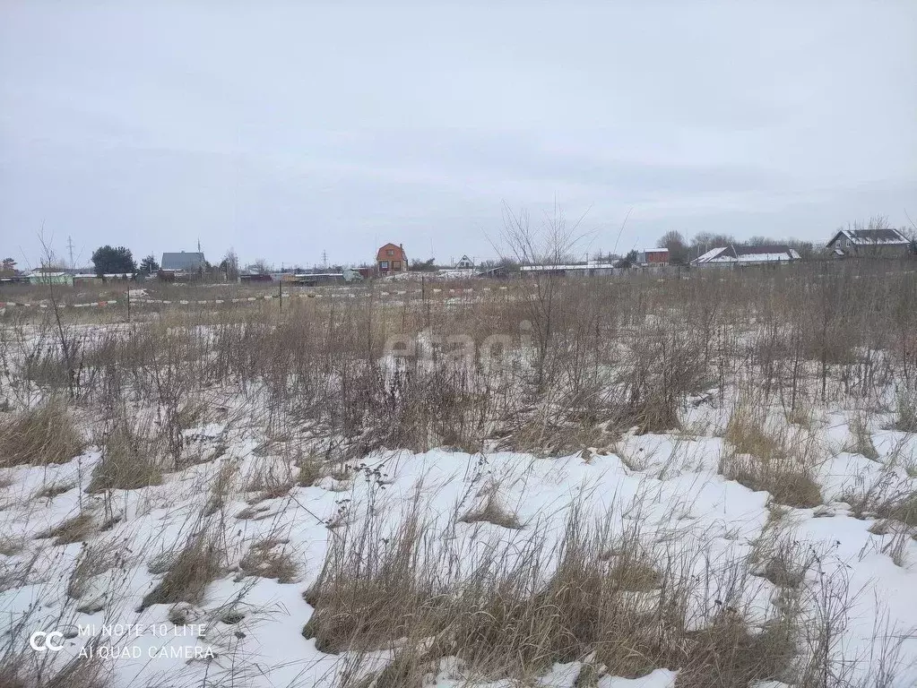 Погода в расловке 2 саратовская область саратовский