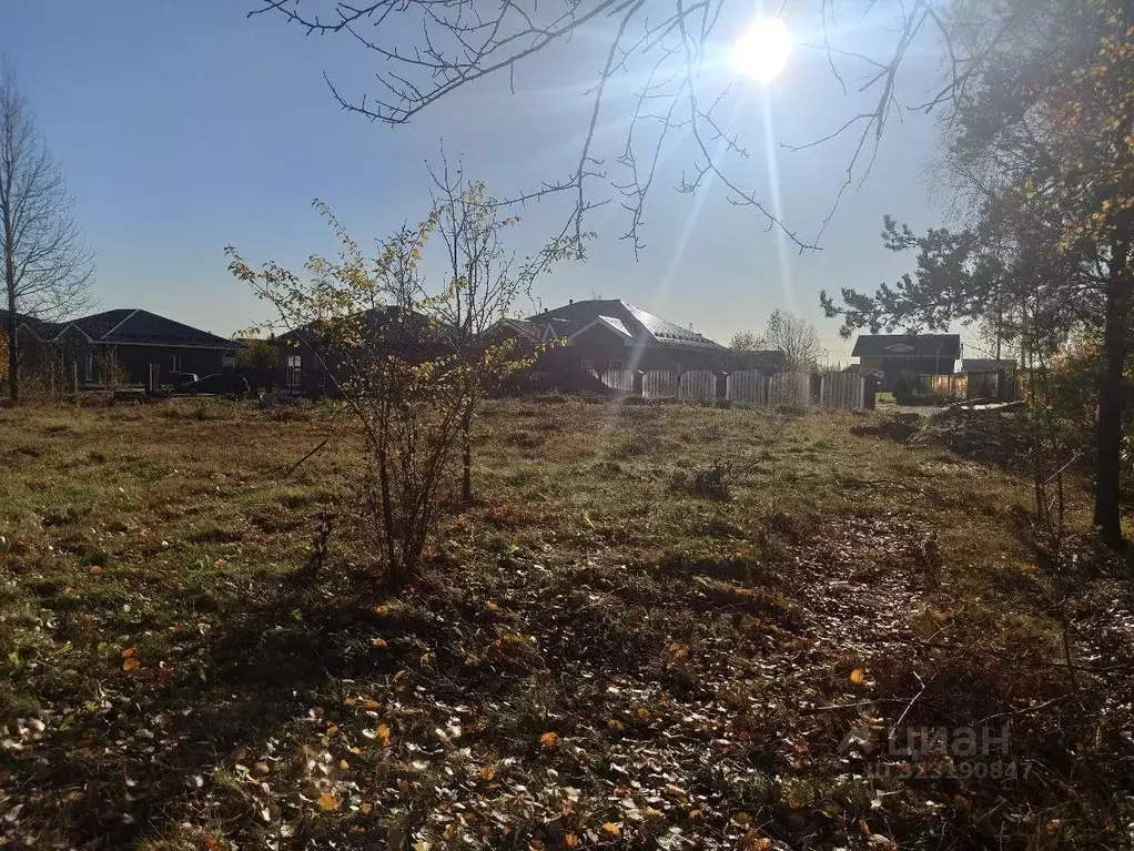 Участок в Ленинградская область, Всеволожский район, Колтушское ... - Фото 2