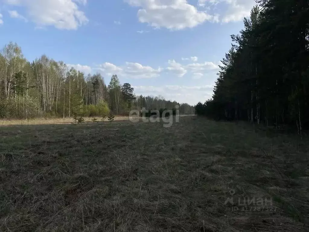 Участок в Свердловская область, Полевской муниципальный округ, с. ... - Фото 0