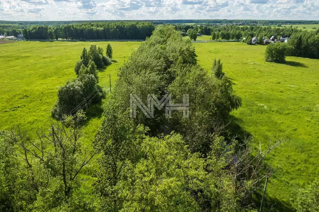 Участок в Москва, ТАО, район Вороново, квартал № 68 (3150 м) - Фото 2