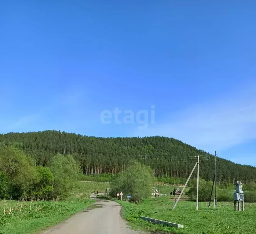 Участок в Алтайский край, Алтайский район, с. Нижнекаянча ул. ... - Фото 1