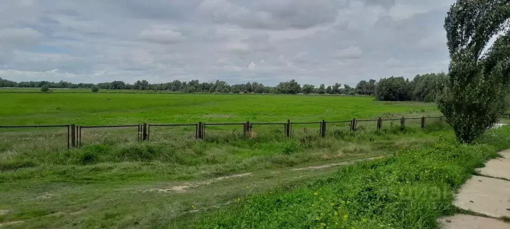 Участок в Омская область, Омский район, с. Красноярка  (1.5 сот.) - Фото 1