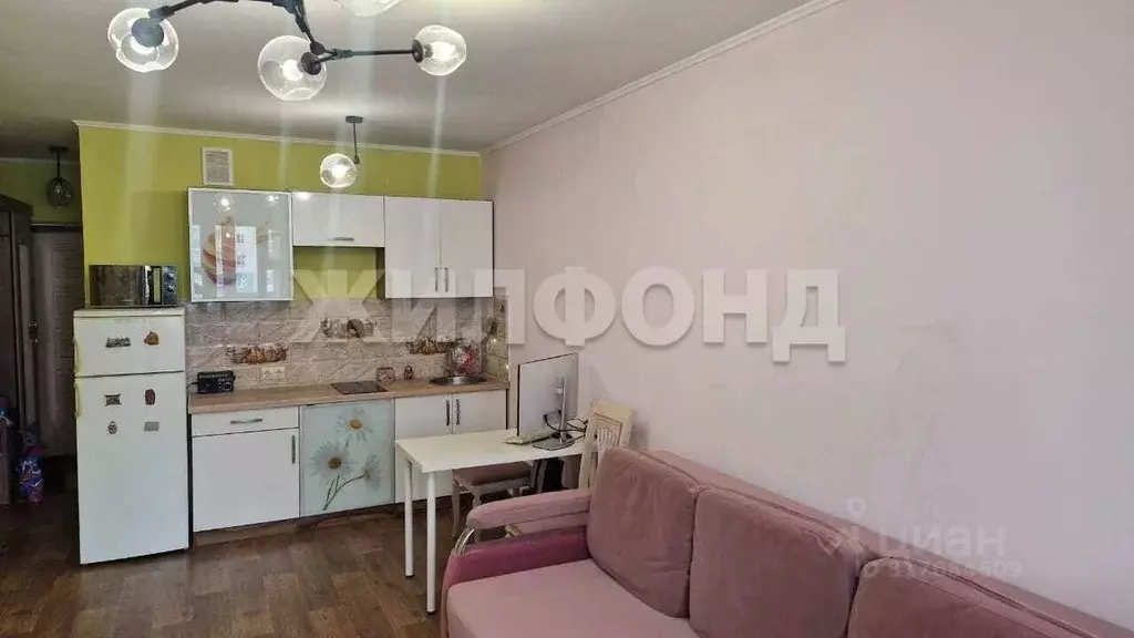 1-к кв. Новосибирская область, Новосибирск ул. Фадеева, 66/9 (27.8 м) - Фото 1