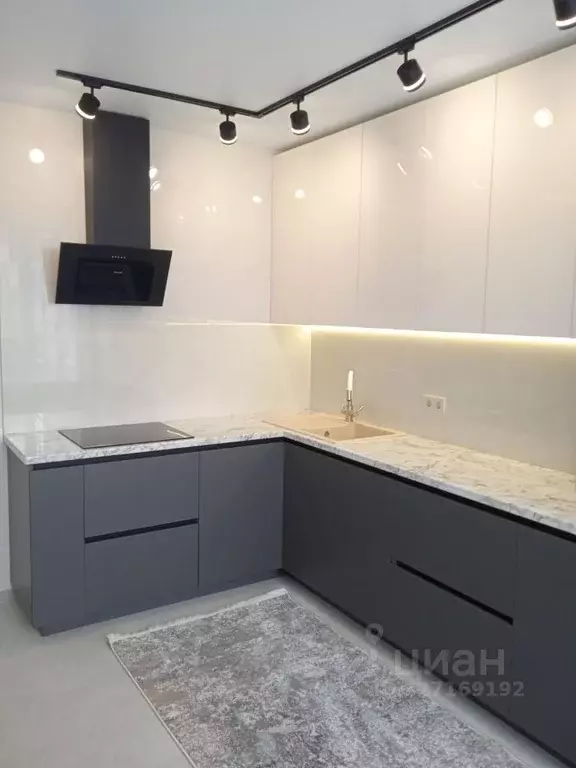 1-к кв. Воронежская область, Воронеж ул. Ворошилова, 1 (40.0 м) - Фото 2