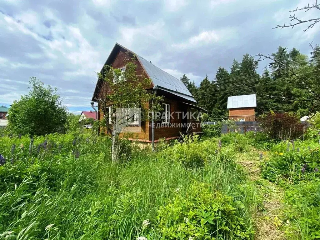 Дом в Московская область, Богородский городской округ, Лотос-2 СНТ 43 ... - Фото 0