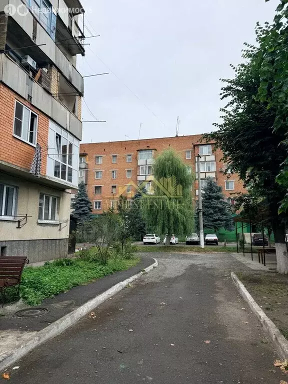 1-комнатная квартира: Владикавказ, улица Генерала Дзусова, 3к4 (23 м) - Фото 2