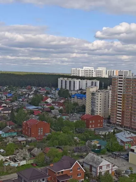 1-к кв. Свердловская область, Екатеринбург ул. Рощинская, 28 (27.0 м) - Фото 1