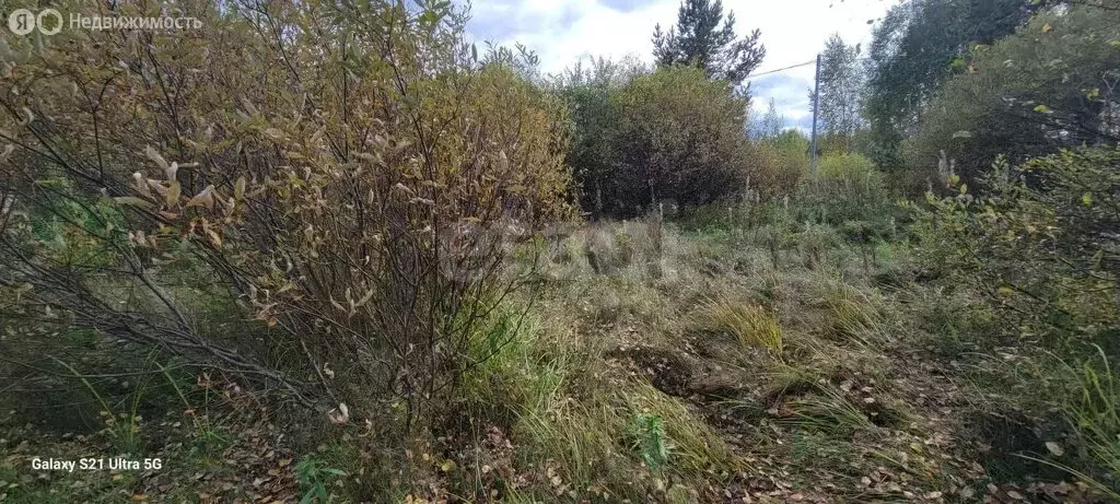 Участок в Свердловская область, Горноуральский муниципальный округ, ... - Фото 2