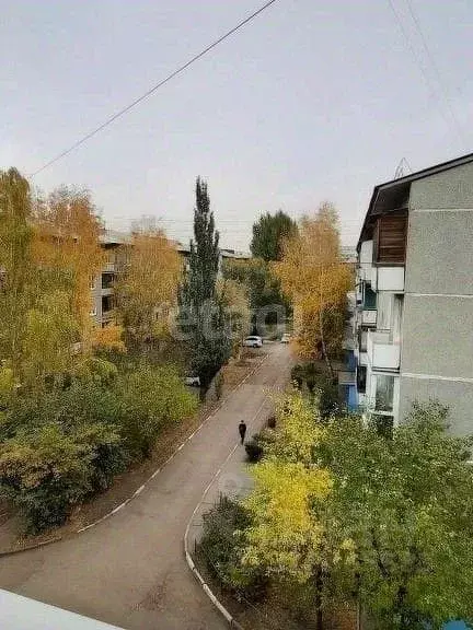 2-к кв. Омская область, Омск ул. Дмитриева, 13/8 (50.0 м) - Фото 0
