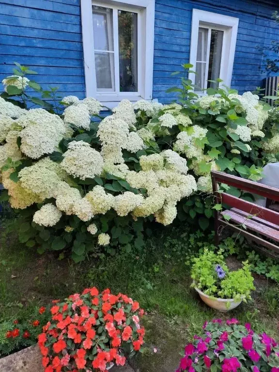 Дом в Владимирская область, Александров проезд Ново-Стрелецкий, 7 (59 ... - Фото 2