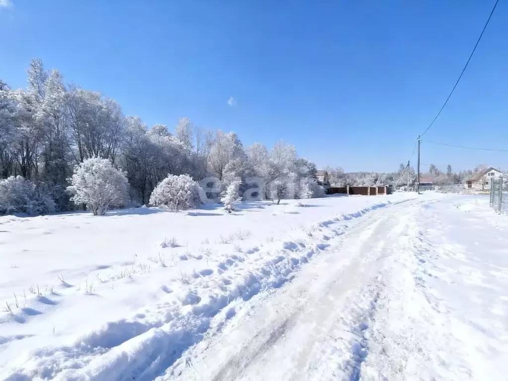 Участок в Ленинградская область, Киришский район, Пчевжинское с/пос, ... - Фото 1