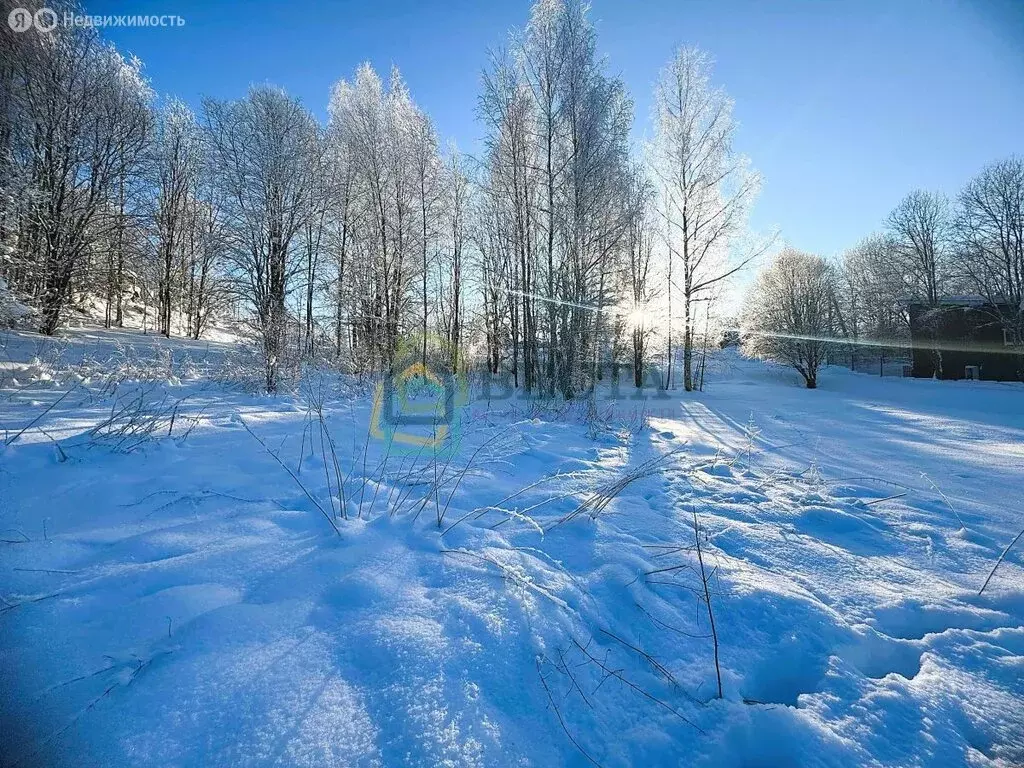 Участок в посёлок Сосново, Озёрная улица, 28Д (11.5 м) - Фото 2
