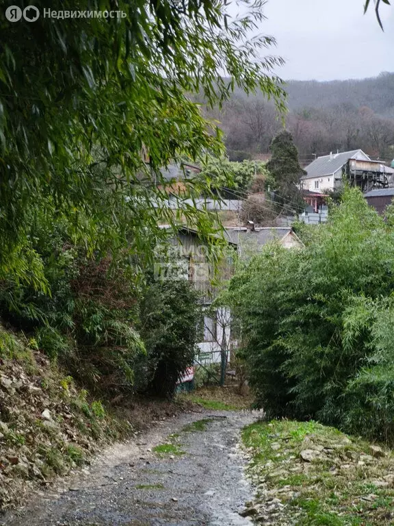 Дом в Сочи, микрорайон Совет-Квадже, Сибирская улица, 38/1 (70 м) - Фото 2