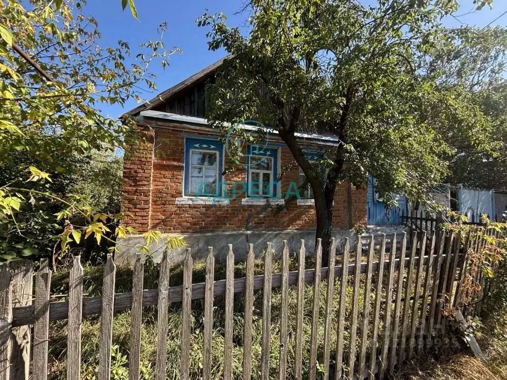 Дом в Белгородская область, Новооскольский муниципальный округ, с. ... - Фото 1