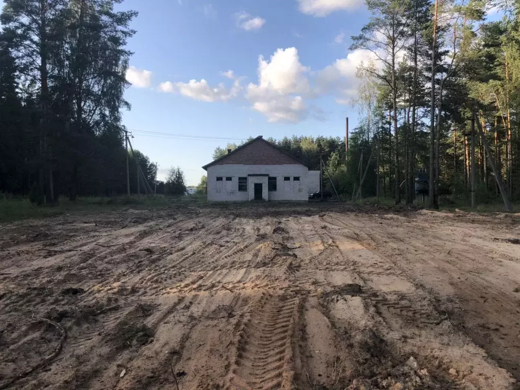 Помещение свободного назначения в Ленинградская область, Лужский ... - Фото 0