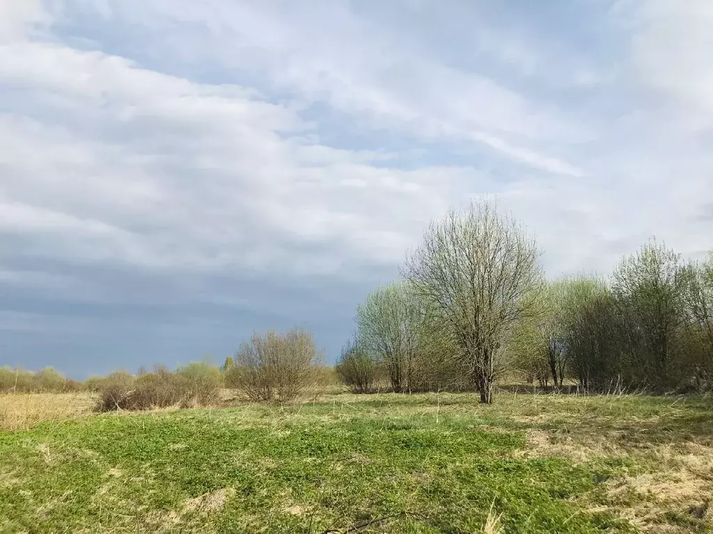 Участок в Ярославская область, Переславль-Залесский городской округ, ... - Фото 0