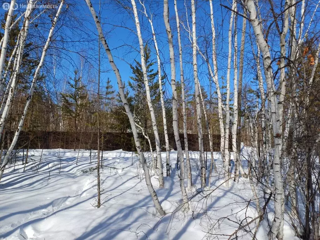 Участок в Якутск, Вилюйский тракт (7 м) - Фото 1