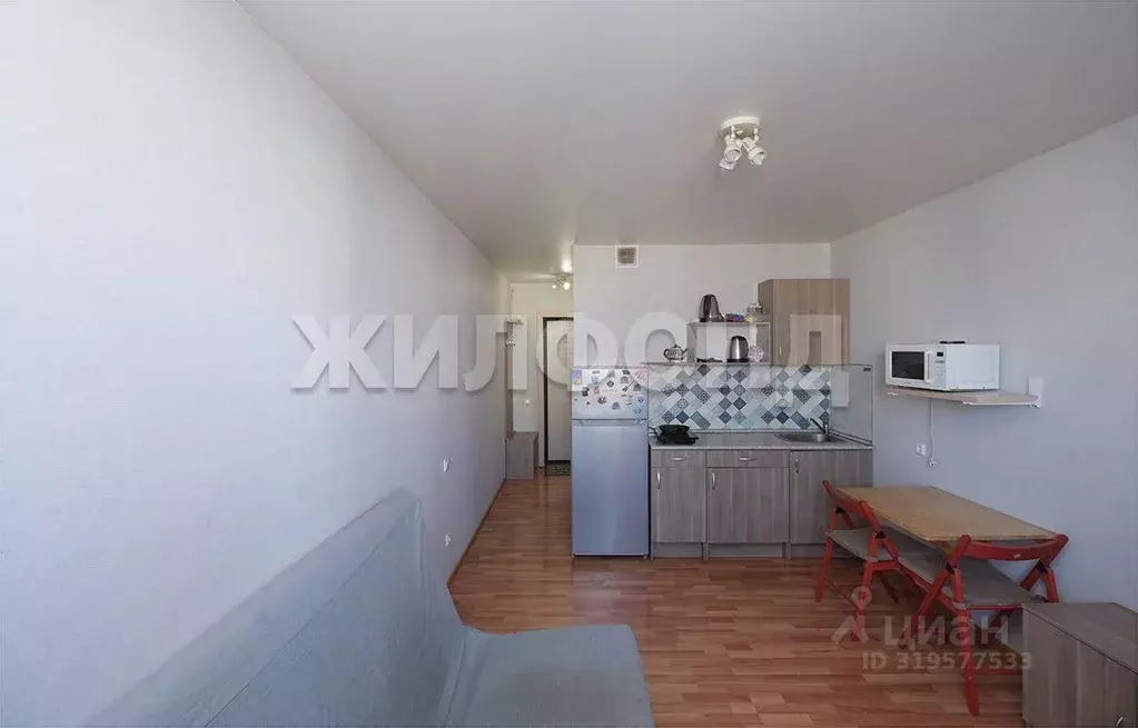 1-к кв. Новосибирская область, Новосибирск ул. Виктора Уса, 9 (20.0 м) - Фото 0