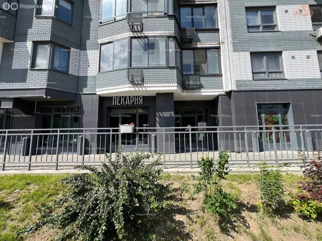 Помещение свободного назначения (80.2 м) - Фото 0