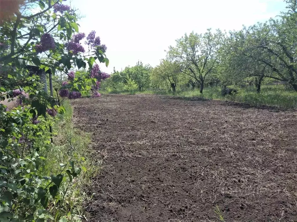 Участок в Белгородская область, Белгородский район, Северный городское ... - Фото 1