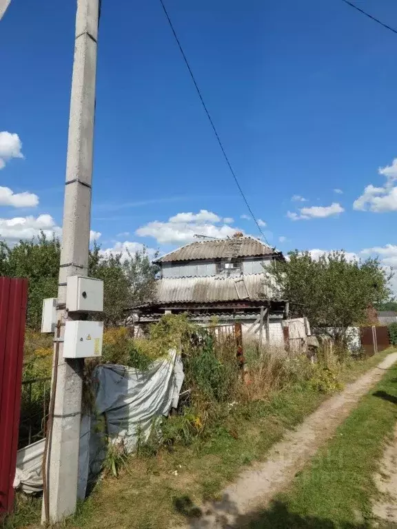 Участок в Брянская область, Брянский район, Новодарковичское с/пос, ... - Фото 1