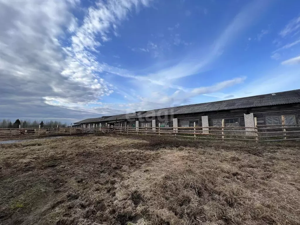 Склад в Архангельская область, Котласский муниципальный округ, д. ... - Фото 1