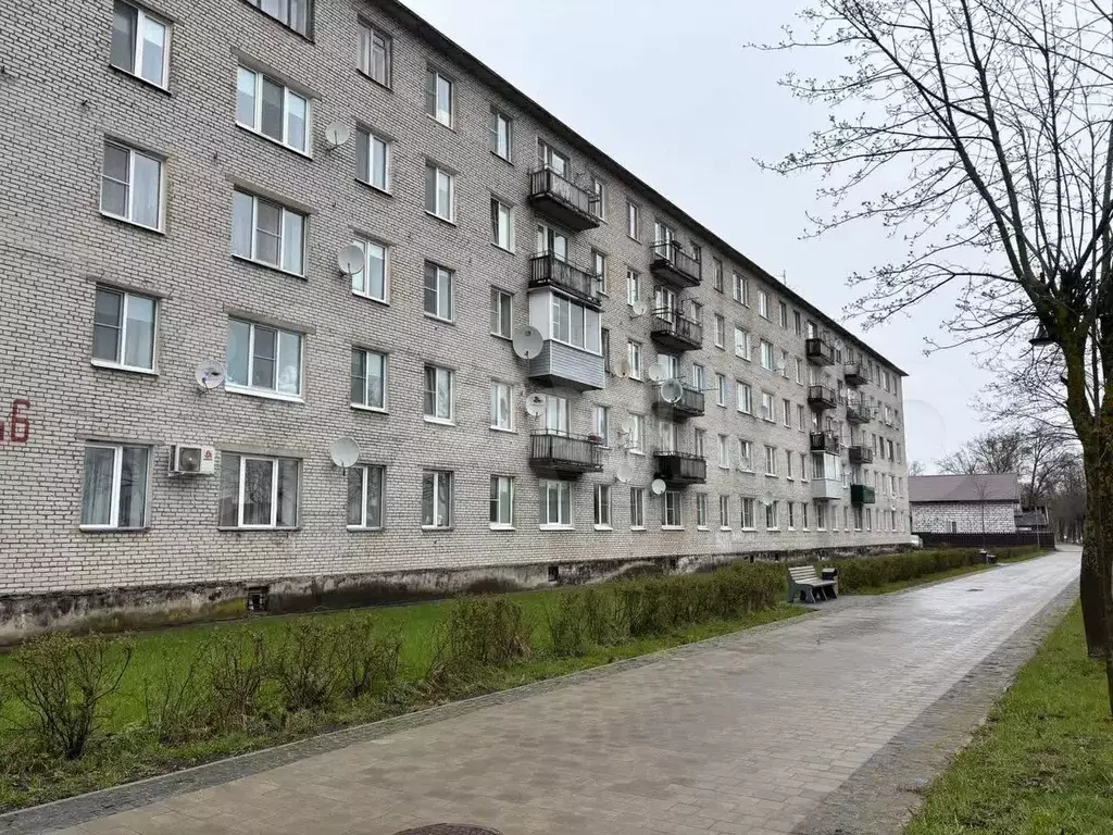 3-к. квартира, 59,6 м, 5/5 эт. - Фото 1