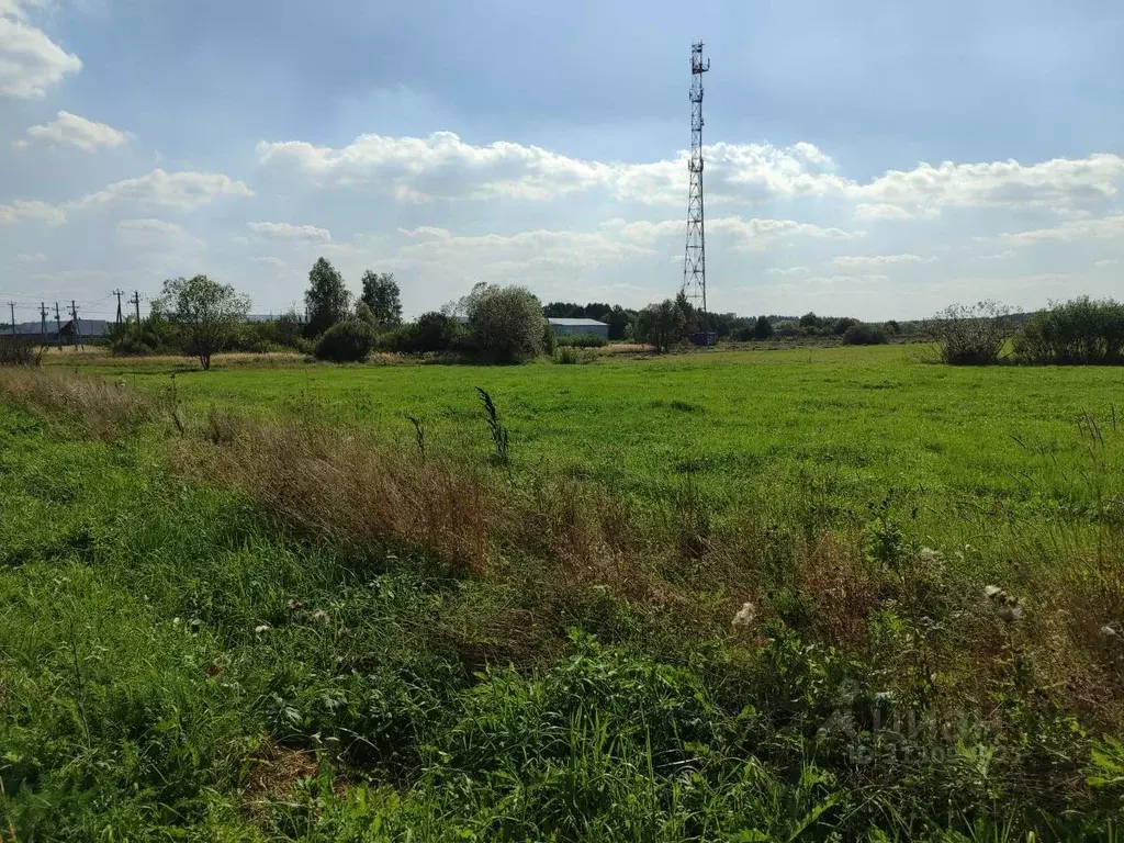 Участок в Московская область, Орехово-Зуевский городской округ, д. ... - Фото 1