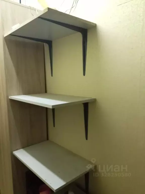 Комната Санкт-Петербург ул. Жени Егоровой, 1/29 (15.0 м) - Фото 1