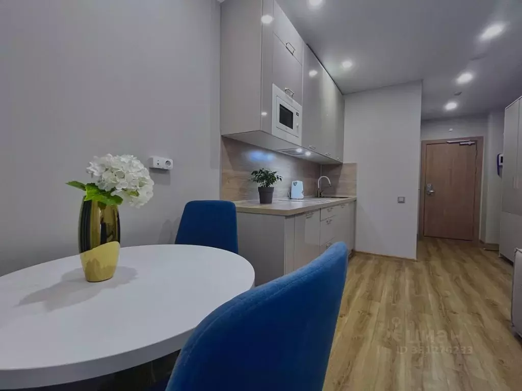Студия Санкт-Петербург бул. Измайловский, 1к2 (19.5 м) - Фото 1