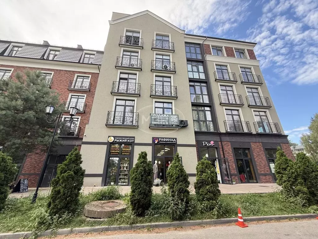 1-к кв. Калининградская область, Светлогорск Калининградский просп., ... - Фото 1