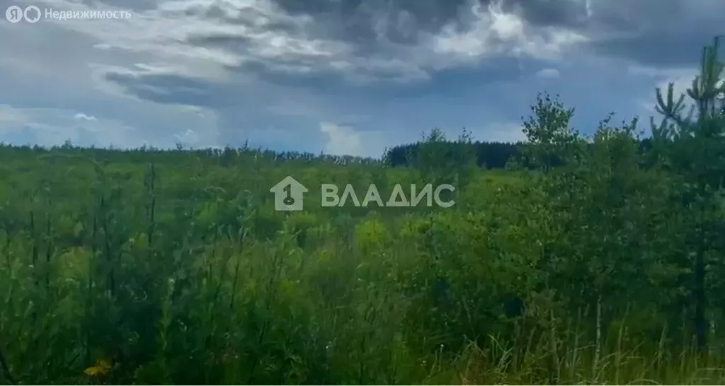 Участок в Нижегородская область, Богородский муниципальный округ, ... - Фото 1