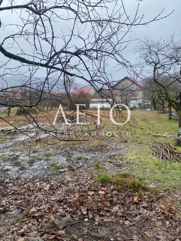 Участок в Краснодарский край, Сочи городской округ, с. Красная Воля ... - Фото 1