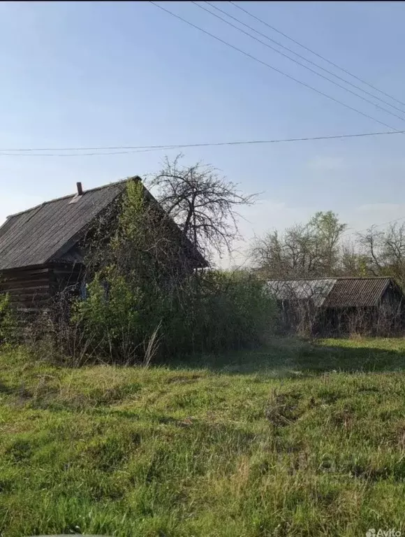 Дом в Удмуртия, Киясовский район, д. Атабаево ул. Димитрова (22 м) - Фото 1