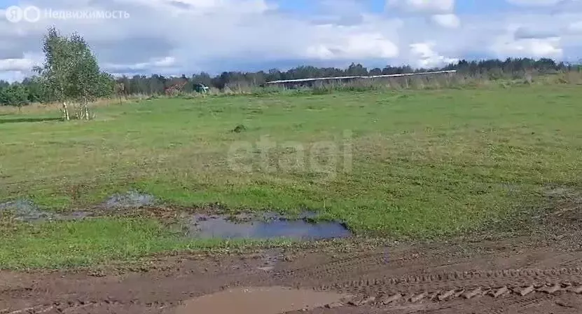 Участок в Томский район, Зоркальцевское сельское поселение, село ... - Фото 1