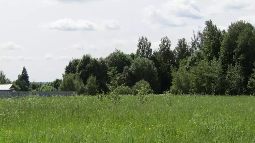 Участок в Московская область, Рузский муниципальный округ, с. ... - Фото 1