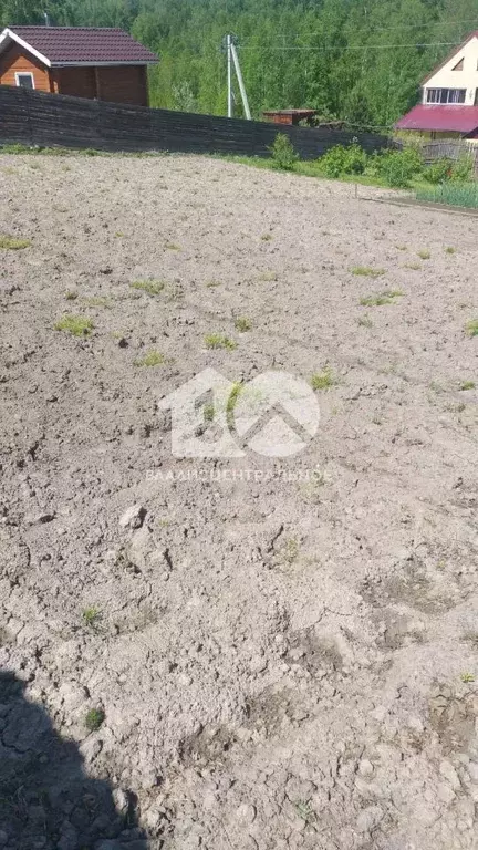 Участок в Новосибирская область, Новосибирский район, с. Раздольное ... - Фото 2