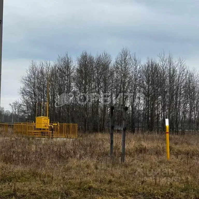 Участок в Тюменская область, Тюменский муниципальный округ, ... - Фото 1