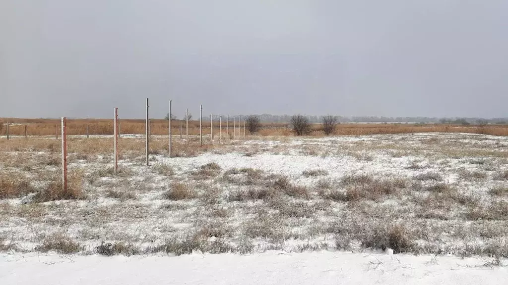 Участок в Краснодарский край, Брюховецкий район, Брюховецкая ст-ца ул. ... - Фото 0