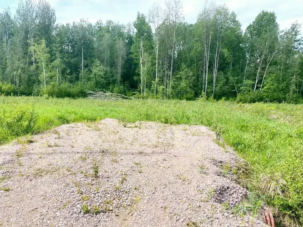 Участок в Ленинградская область, Выборгский район, Красносельское ... - Фото 0