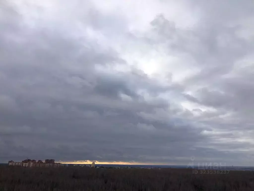 2-к кв. Новосибирская область, Новосибирск Рябиновая ул., 14/1 (45.0 ... - Фото 2