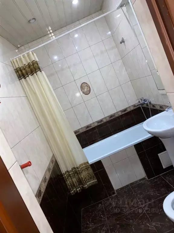 Студия Краснодарский край, Сочи Виноградная ул., 195/16 (36.0 м) - Фото 1