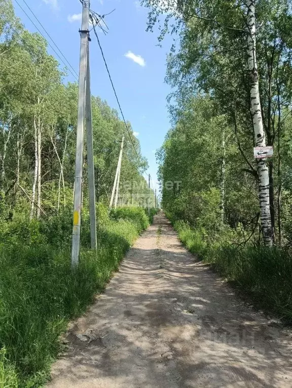 Участок в Нижегородская область, Бор муниципальный округ, д. ... - Фото 1