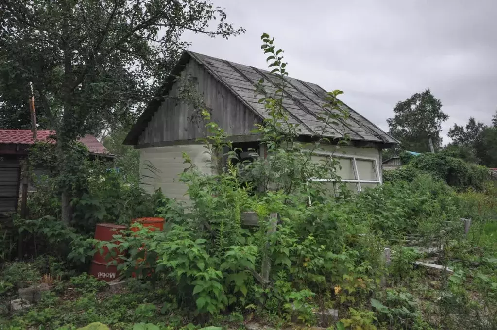 Участок в Сахалинская область, Южно-Сахалинск Медик СНТ,  (7.8 сот.) - Фото 1