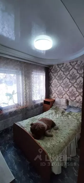 Дом в Удмуртия, Ижевск Лесопильная ул., 5 (49 м) - Фото 2