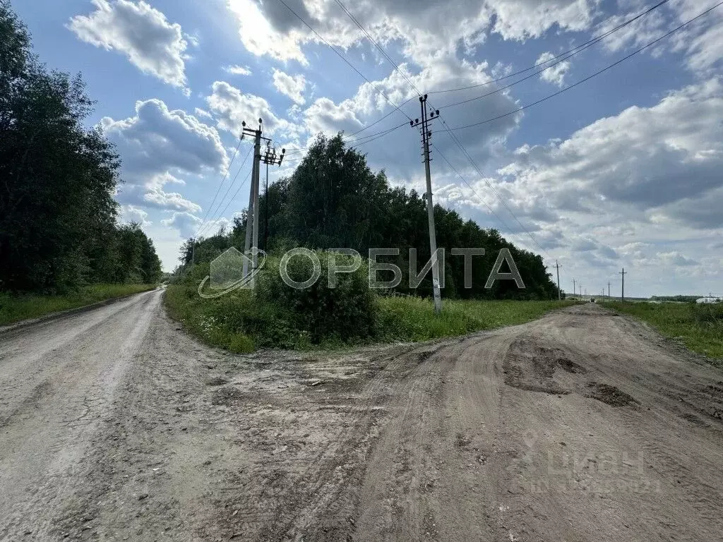 Участок в Тюменская область, Тюменский муниципальный округ, с. ... - Фото 1