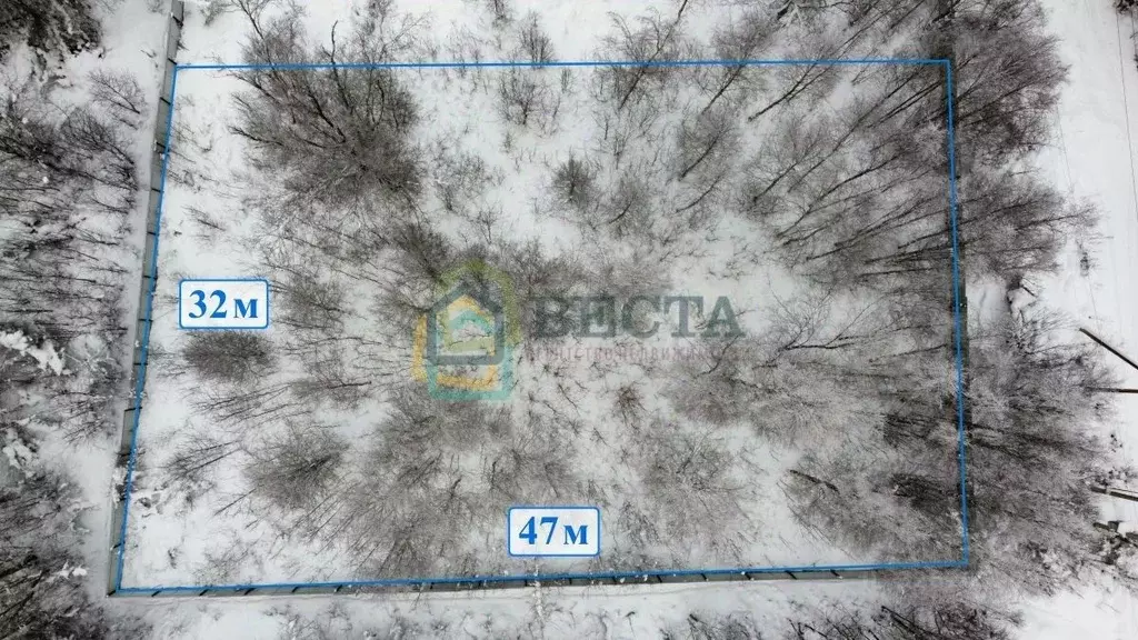 Участок в Ленинградская область, Всеволожский район, Куйвозовское ... - Фото 2